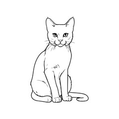 Cute Cat Cartoon Vector Icon Illustration