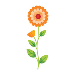 orange flower isolated on white vector illustration.