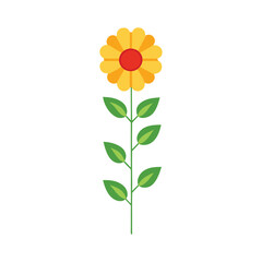 Fototapeta premium yellow flower isolated on white vector illustration.