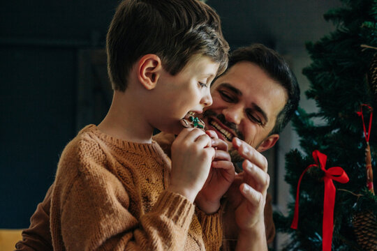 Happy father with son eating gingerbread cookie near Christmas tree
