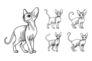 Line art depicting a slender Sphynx cat in a standing pose