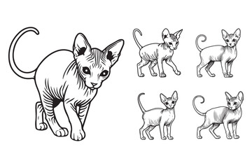 Line Art Small Skinny Sphynx Cat Pet Stand Pose Art Black and White Illustration Hand Drawn Clipart
