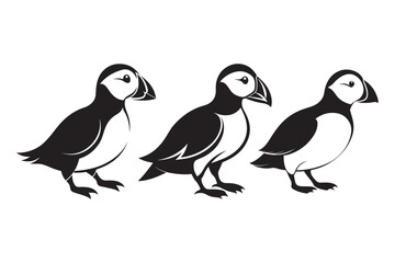 Puffin bird silhouette vector illustration, Puffin silhouette vector 
