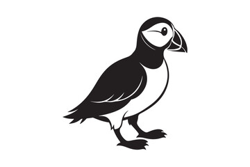 Puffin bird silhouette vector illustration, Puffin silhouette vector 
