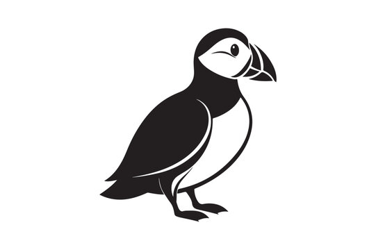 recommend clip art: Puffin bird silhouette vector illustration, Puffin silhouette vector 