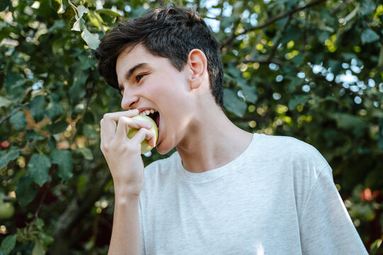 Boy eating apple in back yard