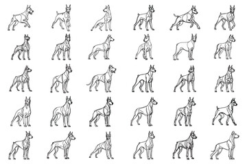 Bundle Line Art Fierce Doberman Dog Stand Pose Art fierce Doberman dog Illustration Hand Drawn Clipart