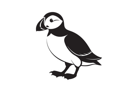 recommend clip art: Puffin bird silhouette vector illustration, Puffin silhouette vector 