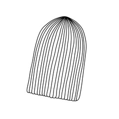 warm knitted hat, wool winter clothing