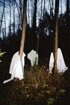 Ghosts standing by trees in forest
