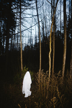Ghost walking on field in the forest