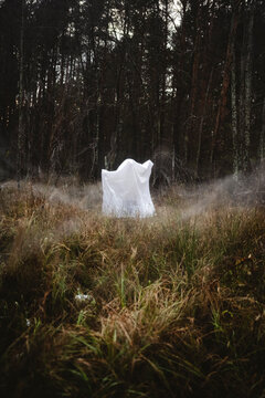 Ghost standing on grassy field in forest