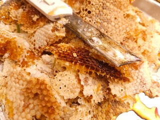Close-up image shows a bee on a golden honeycomb with its perfect hexagonal structure, capturing the hard-working insect in an apiary hive as it collects and produces honey— Honey Extraction
