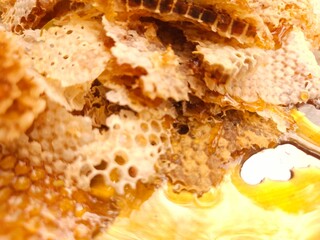 Close-up image shows a bee on a golden honeycomb with its perfect hexagonal structure, capturing...