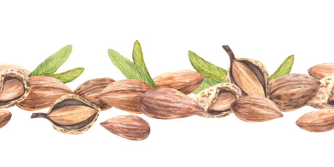 Almond nuts, tree branch with leaves and flowers seamless border. Shelled and unshelled nuts horizontal pattern. Food label design. Watercolor illustration hand drawn Clipart Isolated from background 