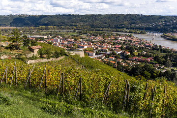 Photo du vignoble duPhoto du vignoble du Cote-Rotie avec vue sur le village de Condrieu. Cote-Rotie...