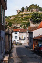 Photo du vignoble du Cote-Rotie avec vue sur le village de Condrieu.