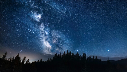 Fototapeta premium Night Sky Filled with Stars