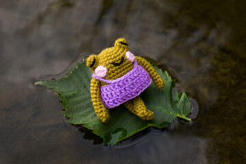 Knitted frog on a leaf floating on a river handmade