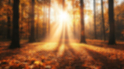 Fototapeta premium A blurred video call background of a cozy autumn forest with sunlight filtering through trees