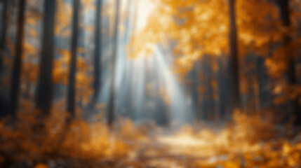 Obraz premium A cozy autumn forest with sunlight filtering through trees in a blurred background during a call