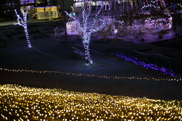 公園のイルミネーション