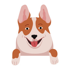Dog hanging on border. Portrait of muzzles with paws. Front view. Flat vector design
