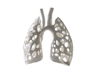 Paper cutout of lungs with holes representing lung damage, isolated on a white background.   PNG transparent.