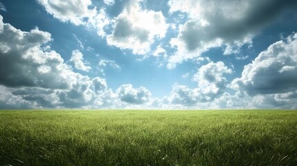 Fototapeta premium 95. A wide-open field of grass under a dramatic sky filled with clouds