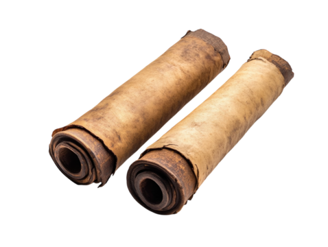 Two old, rolled-up scrolls with aged parchment texture, isolated on a white background.   PNG transparent.