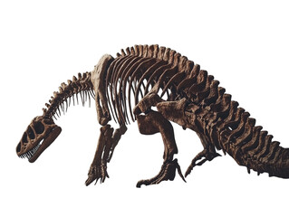 Dinosaur skeleton fossil displayed on a dark background, showcasing its massive size and ancient...