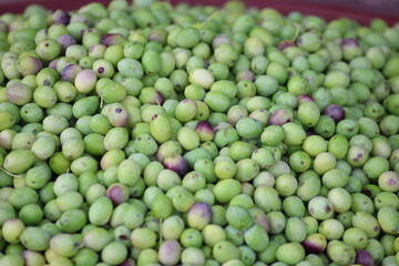 closeup of green olives on the market