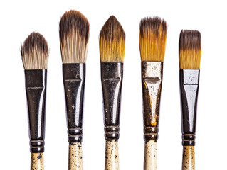 Fototapeta premium Five paintbrushes in a row on white background PNG transparent.