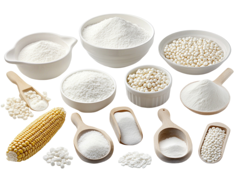 Different bowls and scoops filled with corn starch, with fresh corn nearby, on a white background. PNG transparent.