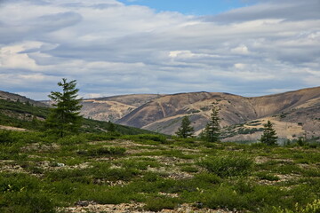 Landscape of the Far Eastern midlands.