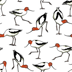 Vector seamless pattern with hand drawn cute Red-necked Avocets. Beautiful animal design elements, ink drawing,perfect for prints and patterns
