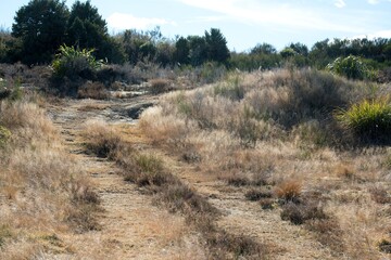 trail in the mountains