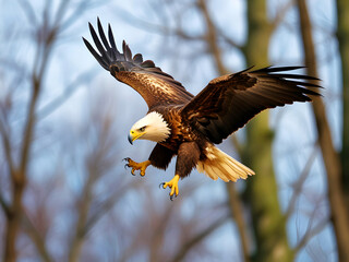 Obraz premium Majestic Eagle Soaring in the Sky