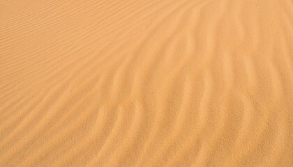 Naklejka premium 砂