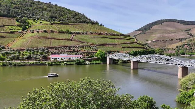 Aerial view of terraced Douro Vineyards on a sunny day, Douro, Vineyards, Portugal, Terraces, Summer