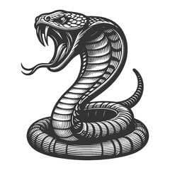 Fototapeta premium cobra snake in a menacing striking pose, rendered with fine engraving detail sketch engraving generative ai raster illustration. Scratch board imitation. Black and white image.