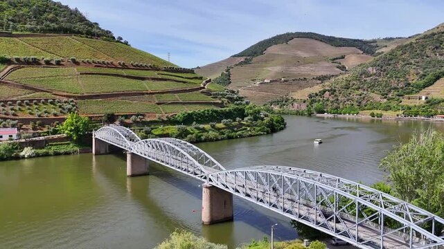 Aerial view of terraced Douro Vineyards on a sunny day, Douro, Vineyards, Portugal, Terraces, Summer