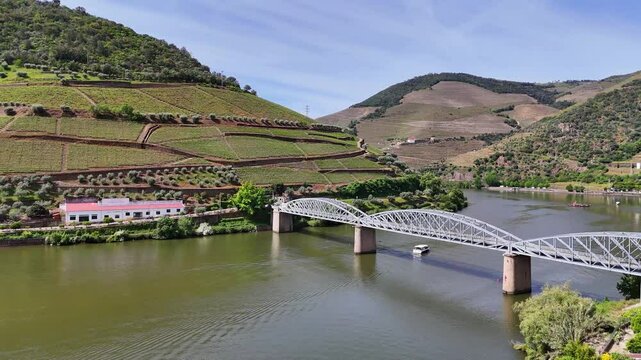 Aerial view of terraced Douro Vineyards on a sunny day, Douro, Vineyards, Portugal, Terraces, Summer