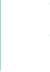 Nigeria Flag Crisp Icon