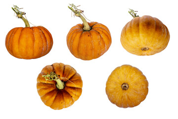 Orange pumpkin with green branch full height close up side, top, angle view set isolated on white