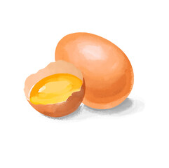 broken egg isolated on white, vector