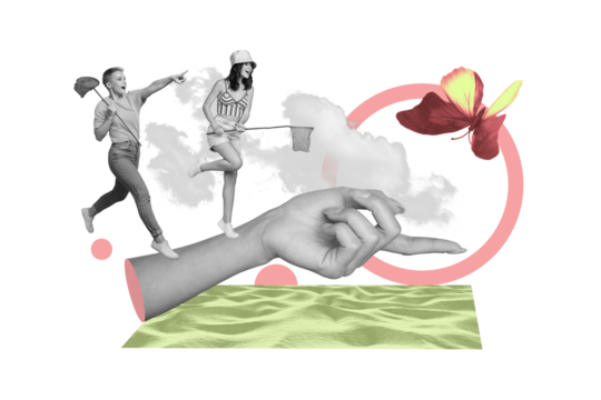 Photo collage two funky female girlfriends have fun catching butterflies together jumping green park field nature picture background