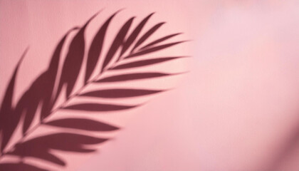 Obraz premium Wall pink leaf plant shadow background. beach summer minimal concept. Flat lay pastel color palm tropical nature .