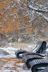 The first snow in the autumn park.A cloudy November day.Yellow foliage on the trees, paths and benches in the snow, autumn landscape.