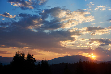 Serene evening sky with hues of blue and soft pink clouds as sun sets. Horizon glows gently, casting light over silhouetted pine trees and rolling hills, creating peaceful and expansive landscape.